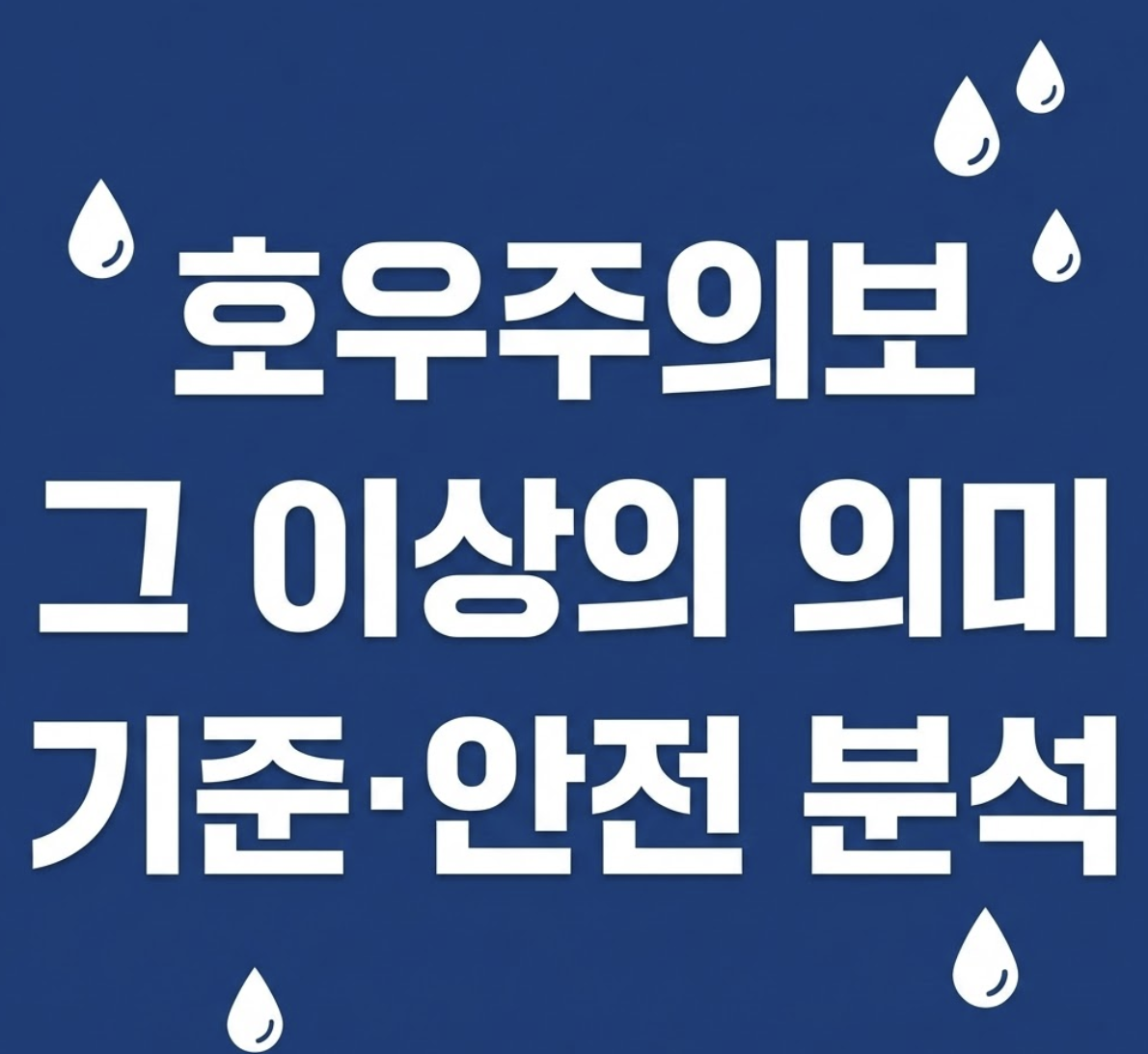 호우주의보, 그 이상의 의미: 호우주의보 기준부터 안전까지 완벽 분석